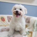 변사또(영등제일2차점) | [26.2.22~23] 속초펜션 스테이민찌네 #가족펜션 #속초숙소 추천