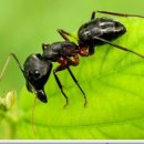 우림메디칼 이미지