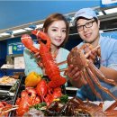 대게플러스 이미지