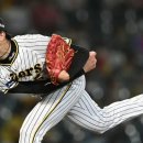 국대오리 이미지