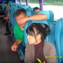 부흥골 Daum카페