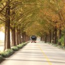 순창순대국밥 이미지