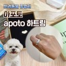 [apoto] 아포토 반려동물 비문 쥬얼리 하트링 내돈내산 후기 (+케이펫페어)
