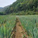 홍천소방서 내면119지역대 이미지