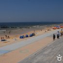 대천해수욕장 이미지