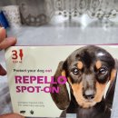 송탄시장약국 이미지