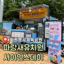 파랑새유치원.어린이집 이미지