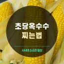 초당<b>옥수수</b> 찌는 법 (전자렌지, 찜기) 시간