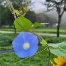 신전마을(다락골) 이미지