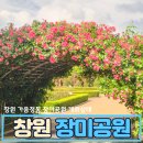 경남천광학교 | 창원 장미공원 장미축제 (5/23일 실시간 추가, 주차, 화장실 팁)