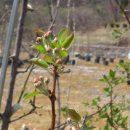 문배농장 이미지