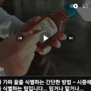 선물용으로 많이하는 진짜꿀 구별법 이미지