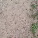 소금꽃정원 이미지