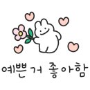 중앙마크사 이미지