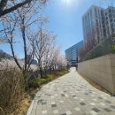 포은대로59번길 이미지