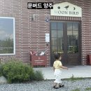 문버드 | 양주 대형카페 문버드, 18개월 아기와 다녀온 솔직후기
