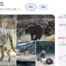 에버랜드 홈브릿지 1박 2일 완전정복: 남자아이 둘과 함께하는 힐링 &amp; 먹방 가족여행