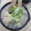 유성구 맛집에서 삼계탕 갈비탕 보양식으로 든든하게