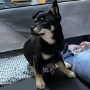 빵주 이미지