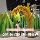수원 아이랑 국립농업박물관 어린이박물관 예약 현장접수 후기