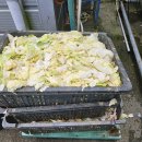 (주)에코도시락 이미지