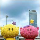 씨유 대전선화힐링점 | 2025 대전 0시축제 라인업 개막 후기