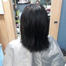 김수은헤어까페