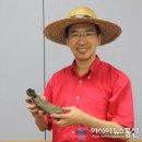 농업회사법인 (주)한국원종 보은농장 | 미세조류농장 개발과 보급, 상용화...