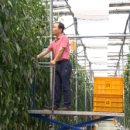 조성원예산지유통센터 이미지