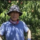 오뚜기농장 이미지