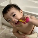 양덴탈 | 어린이고불소치약 고불소충치예방 [덴탈업 키즈 1450 고불소 어린이 치약] 후기