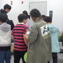 진영조경