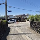 올라비양 이미지