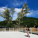 볼따9커피