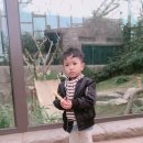 리치PC랜드 이미지