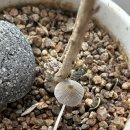 희영농장 이미지