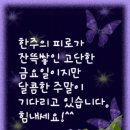 즐거운 이미지