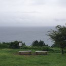 제주산책