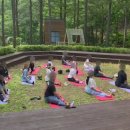 수험생을 위한 마음챙김 명상 | 대학원생 스트레스 관리를 위한 마음챙김요가 후기