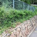 수정4동초소 이미지