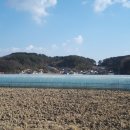 조영심 농장 이미지