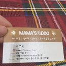 광주강아지분양 마마스미독 24시 광주봉선점 이미지