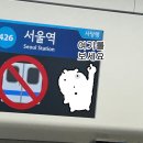 북악동물병원 | 줄 이어폰은 가난이 아니라 감성인거야.