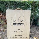 몽땅 포레스트 이미지