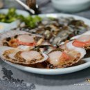 (주)백령여행사 티스토리