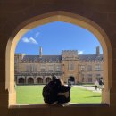 로얄자연에스파 | 시드니 티카(Theeca) 브런치 카페, 팬케이크 맛집 인정! 시드니 대학교, 로얄 보타닉 가든까지