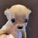 수원-0070 이미지