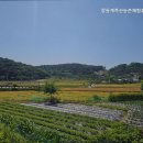 장동계족산농촌체험휴양마을 | 대전갈볼만한곳 장동계족산농촌체험휴양마을 계족산 황톳길 명소