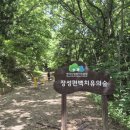 장성시내길 이미지