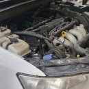 스피트메이트 새화랑점 이미지